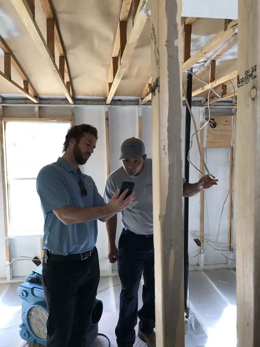 Cathedral City, CA Mold Removal Services
