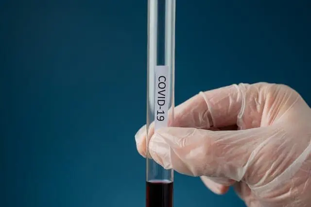 What Is Coronavirus?