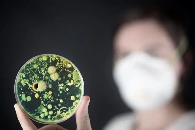 Prevent Mold and Bacteria Growth!