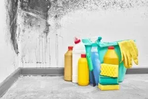 Does Bleach Really Kill Mold? - The idea that bleach can kill mold is a myth! Bleach will kill mold growing on non-porous surfaces like glass, tiles, bathtubs and counter tops. However bleach cannot completely kill mold growing in non-porous materials like drywall and wood. Do not use bleach to kill mold on non-porous materials!