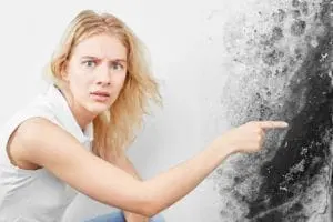 How Dangerous Is Black Mold? - There are 8 myths about black mold that many people believe. This article is about black mold removal and explains what it is, why it grows, and the sicknesses caused by exposure to it.