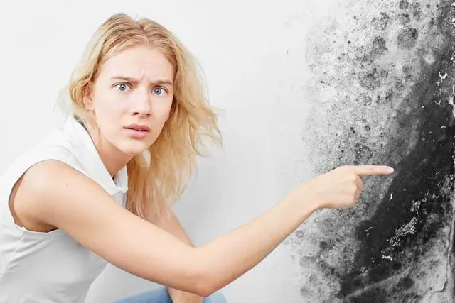 How Dangerous is Black Mold? Health Risks & Symptoms - Flood Response