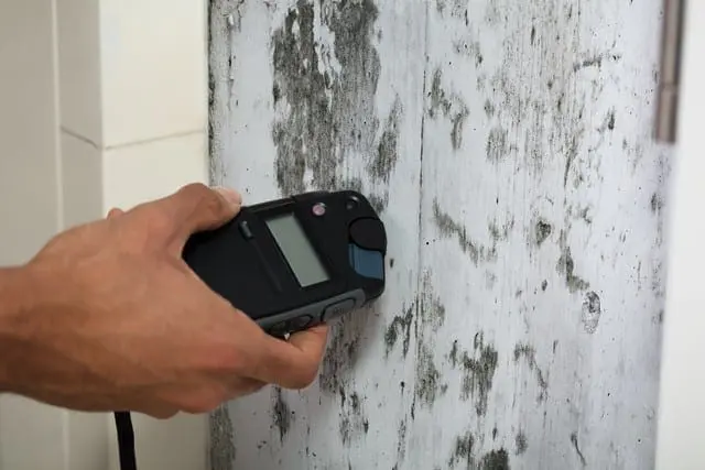 10 Interesting Mold Facts! - Flood Response