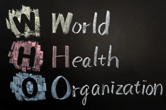 The World Health Organization (WHO) Considers Mold A Health Hazard!