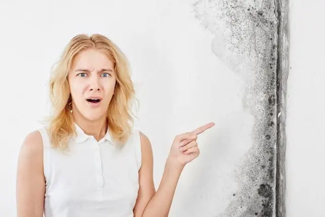 Mold Removal Consumer Guide - Flood Response