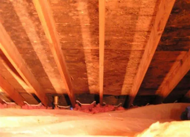 Top 4 Causes Of Attic Mold Growth!