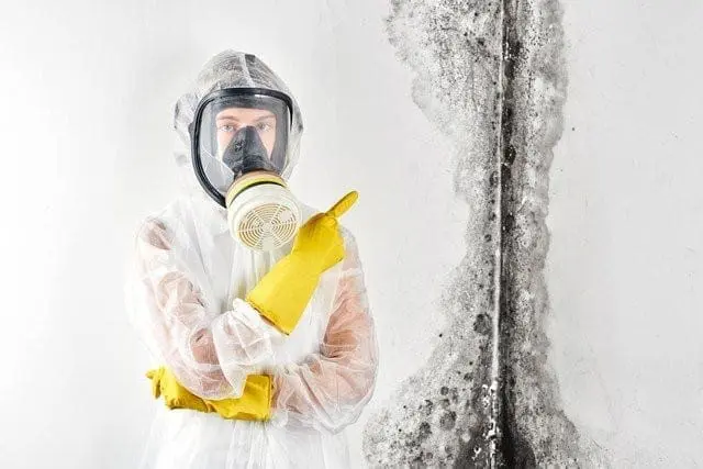 Don't Panic If You Find Mold! - Flood Response Call Professionals!