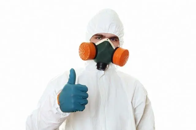 Mold Remediation Steps!