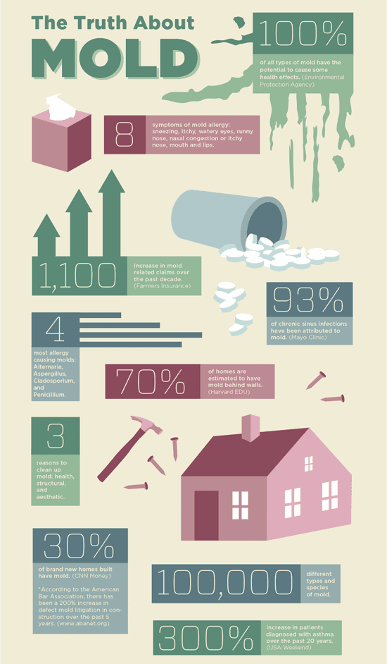 Don't Panic If You Find Mold! - Flood Response Mold Summary!