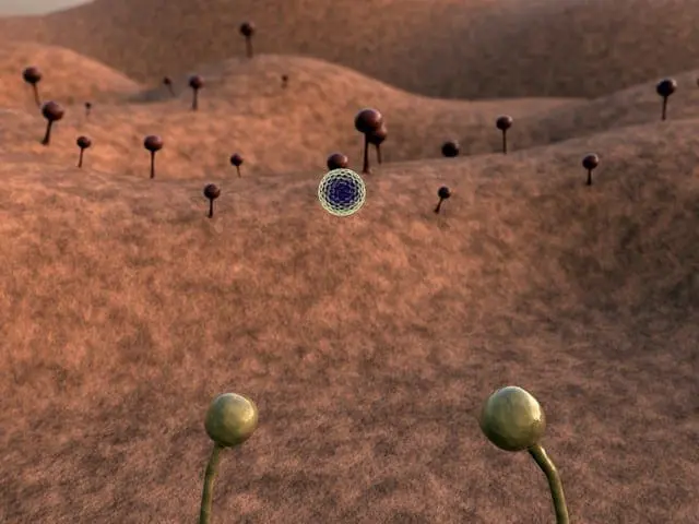 You Can't See Mold Growing!