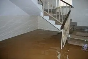 8 Tips To Prevent Mold After A Flood! - There is a direct link between water damage and mold growth. This article explains why. We also provide you with 8 recommendations to prevent a mold outbreak after your home or business floods. Got water damage restoration or mold growth questions? Call Flood Response, (760) 343-3933.
