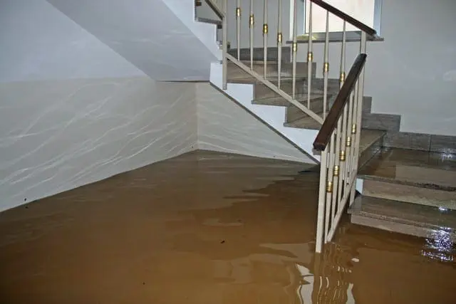 8 Tips To Prevent Mold After A Flood! - Flood Response