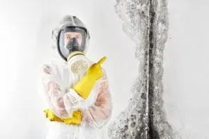 Is there hidden mold in your home? Mold growing on wall with remediation specialist.