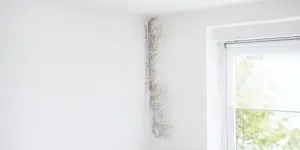 Mold growing on an interior wall.