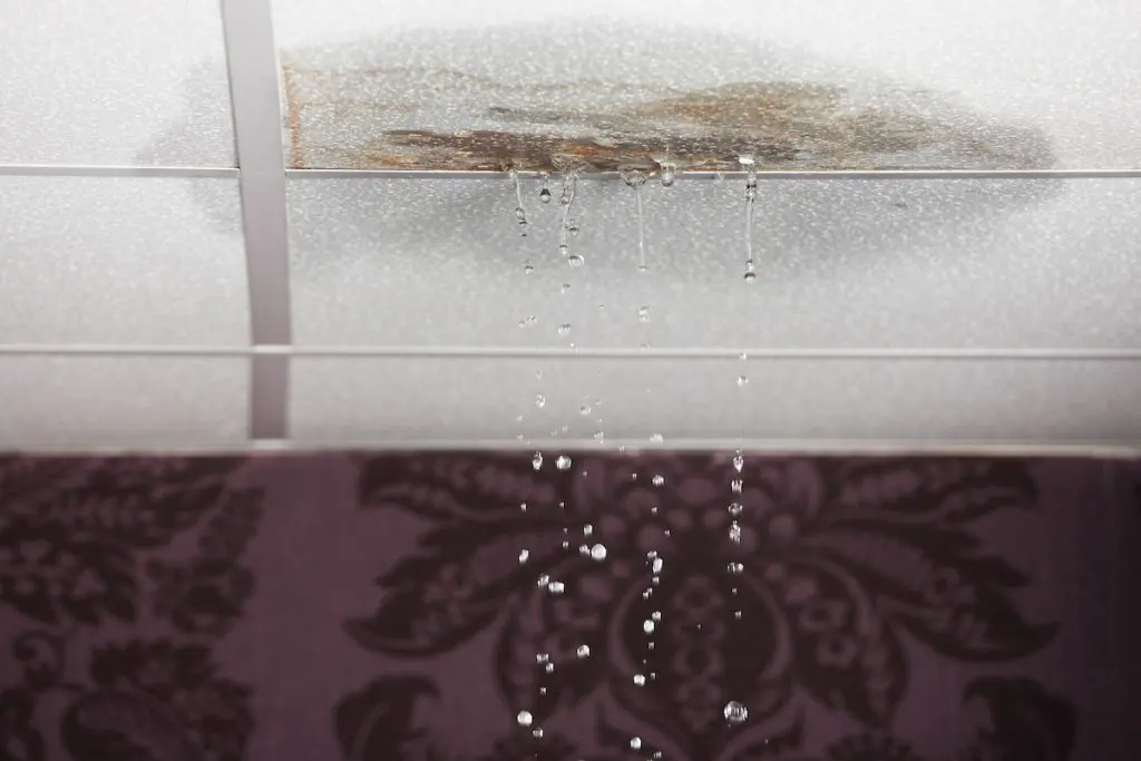 Preventing Mold After Water Damage: Essential Tips for Homeowners - Flood Response