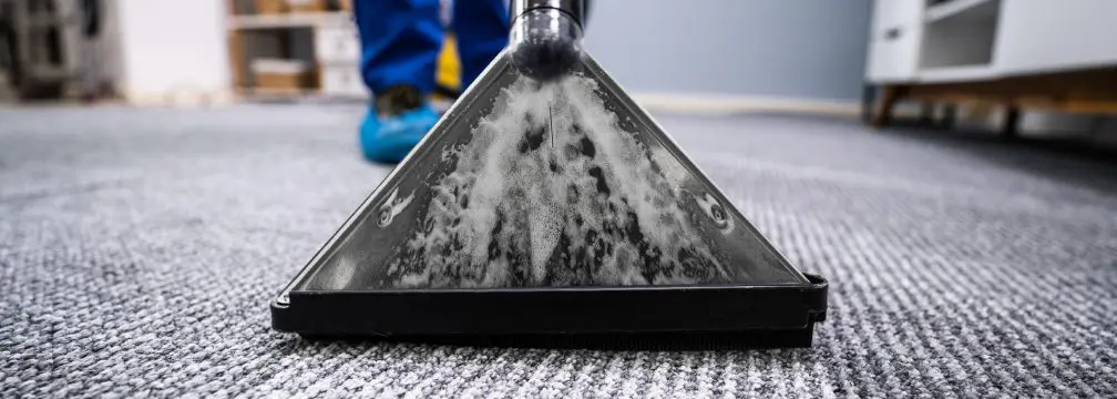 carpet cleaning