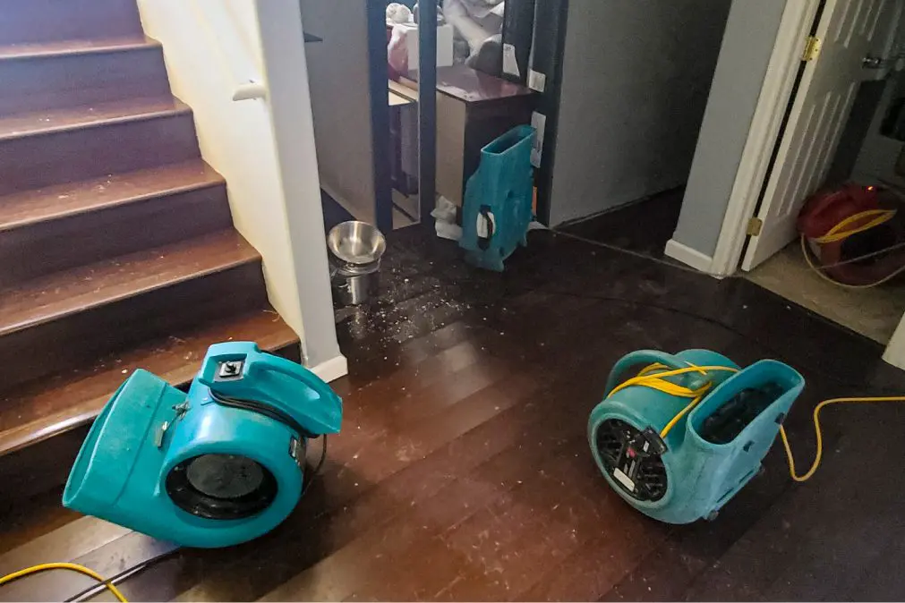 professional water extraction and structural drying