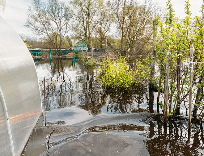 a flooded backyard in a suburban neighborhood