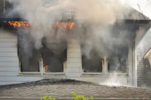 Animal Samaritans fire damage