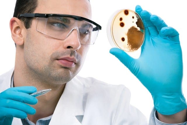 Mold Removal Consumer Guide - Flood Response Why Does Mold Grow?