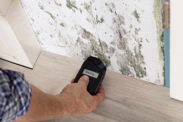 Mold Risks During Renovation! - Flood Response Why Does My Home Have Mold?