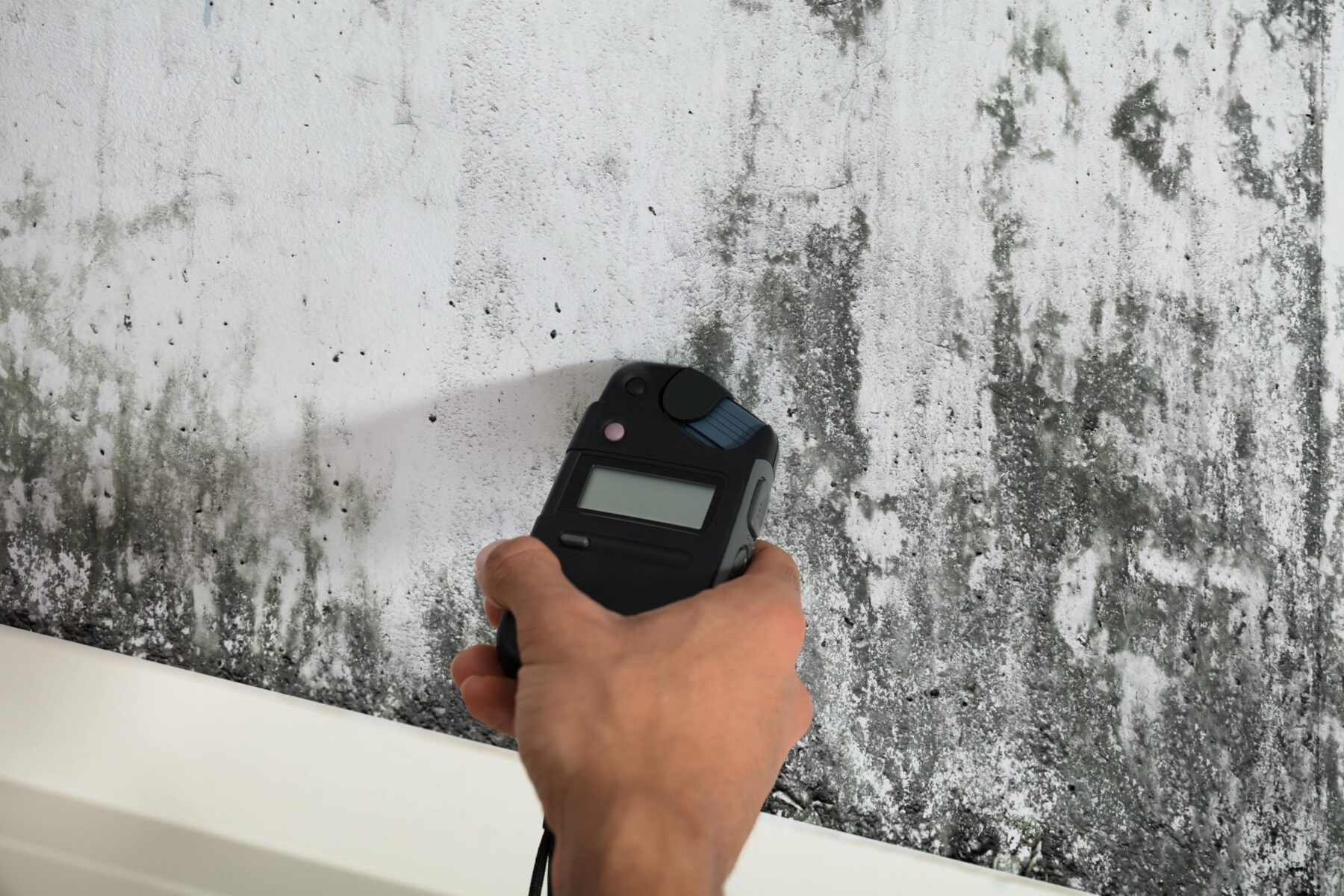 Flood response mold repair Flood response mold repair