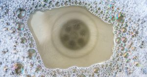 Sink backup that may require a sewage cleanup.