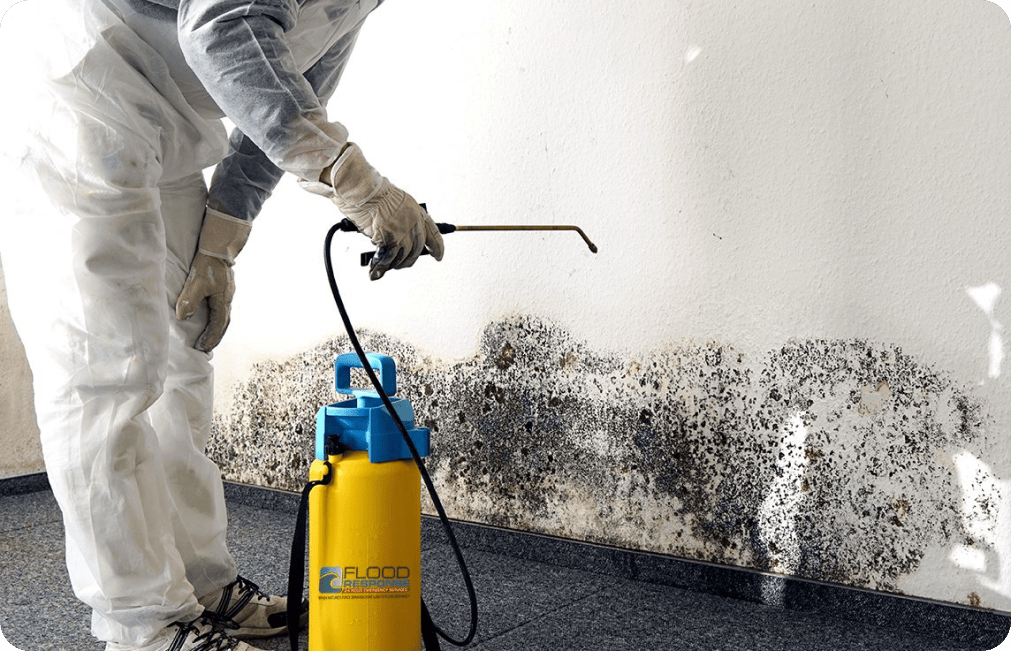 MR-Dont-Let Mold on the wall