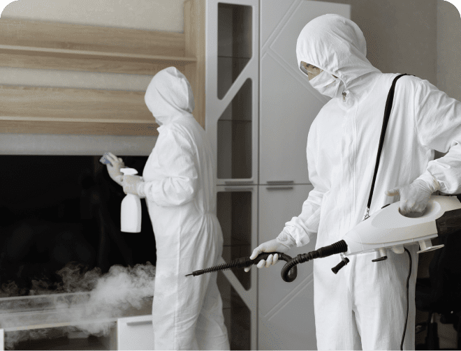 professional sanitization