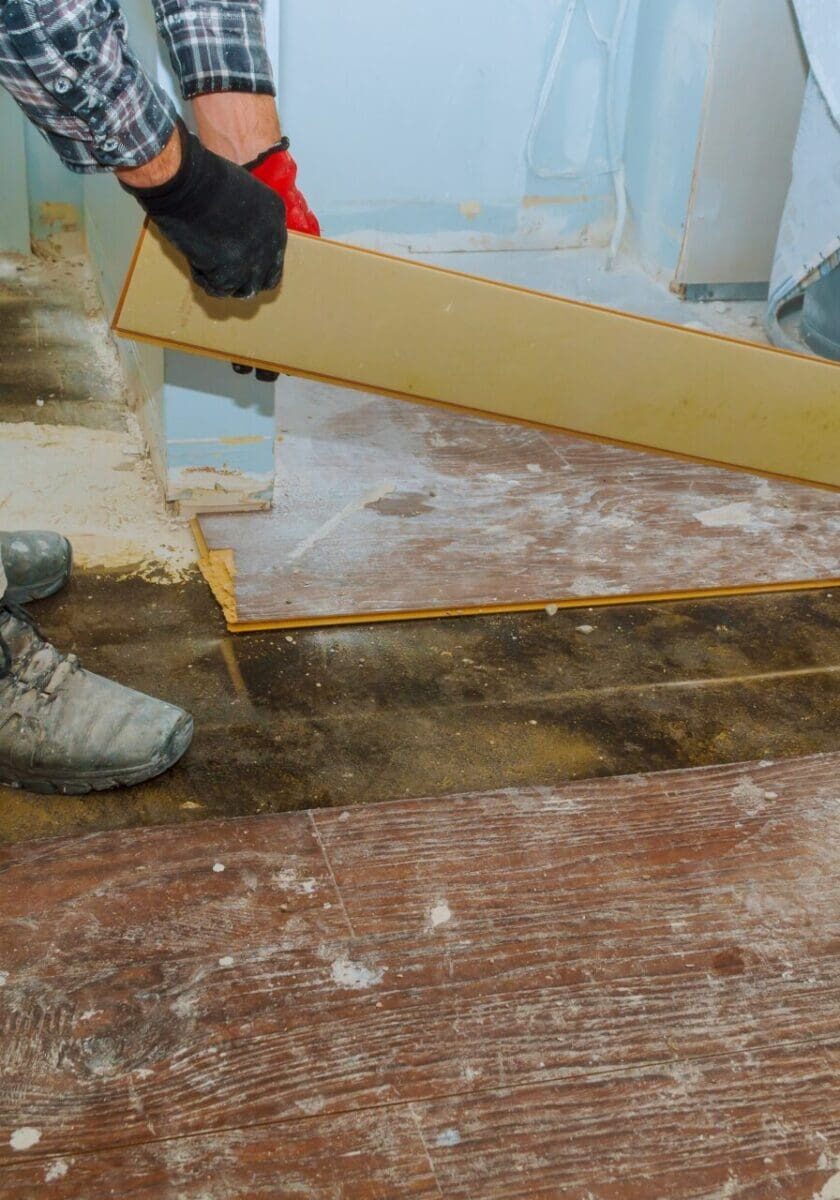 wood rot on hardwood floor due to water damage (wet rot)